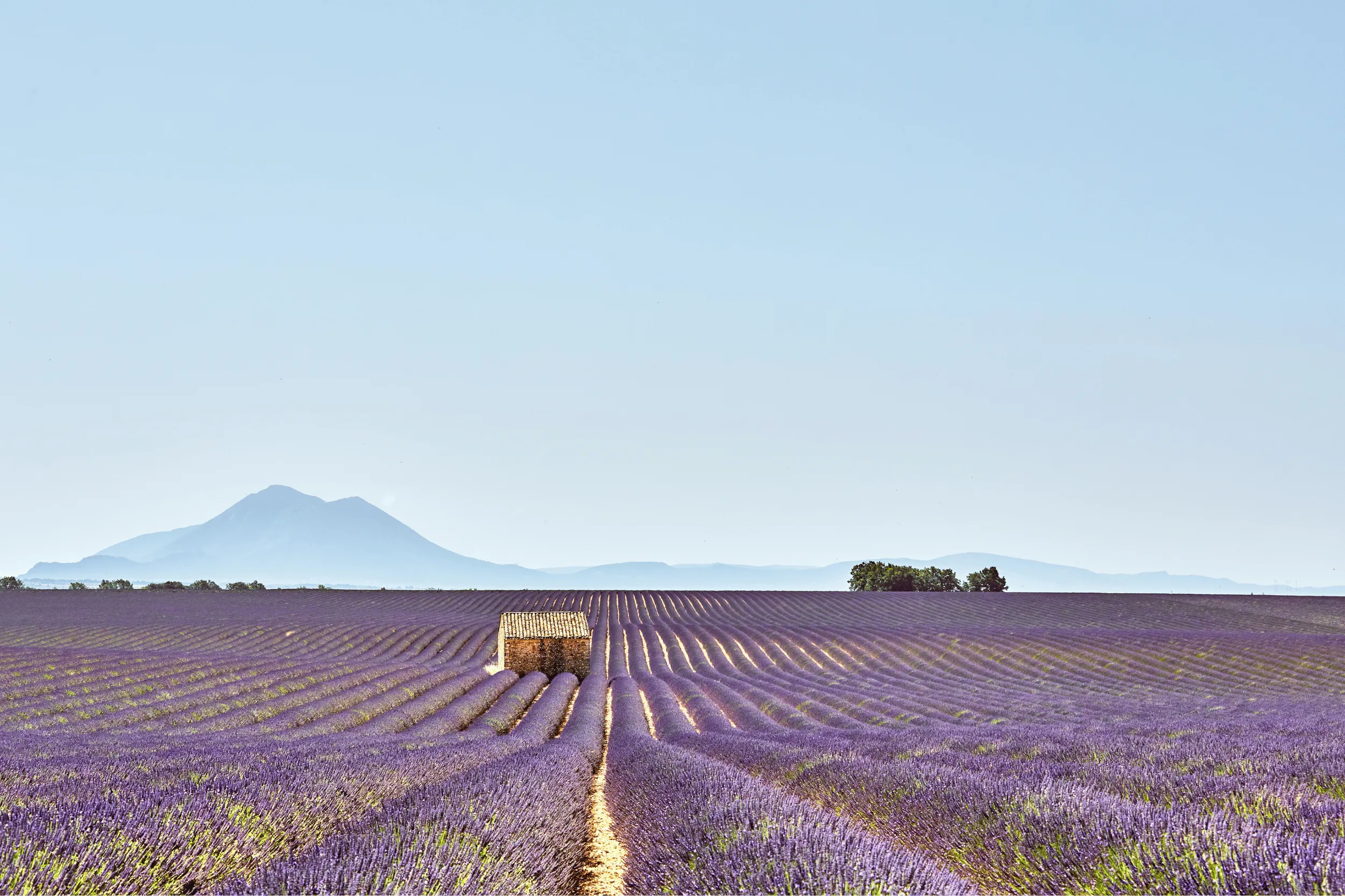 Master French B1 - Intermediate with expert trainers - LingoThoughts Institute