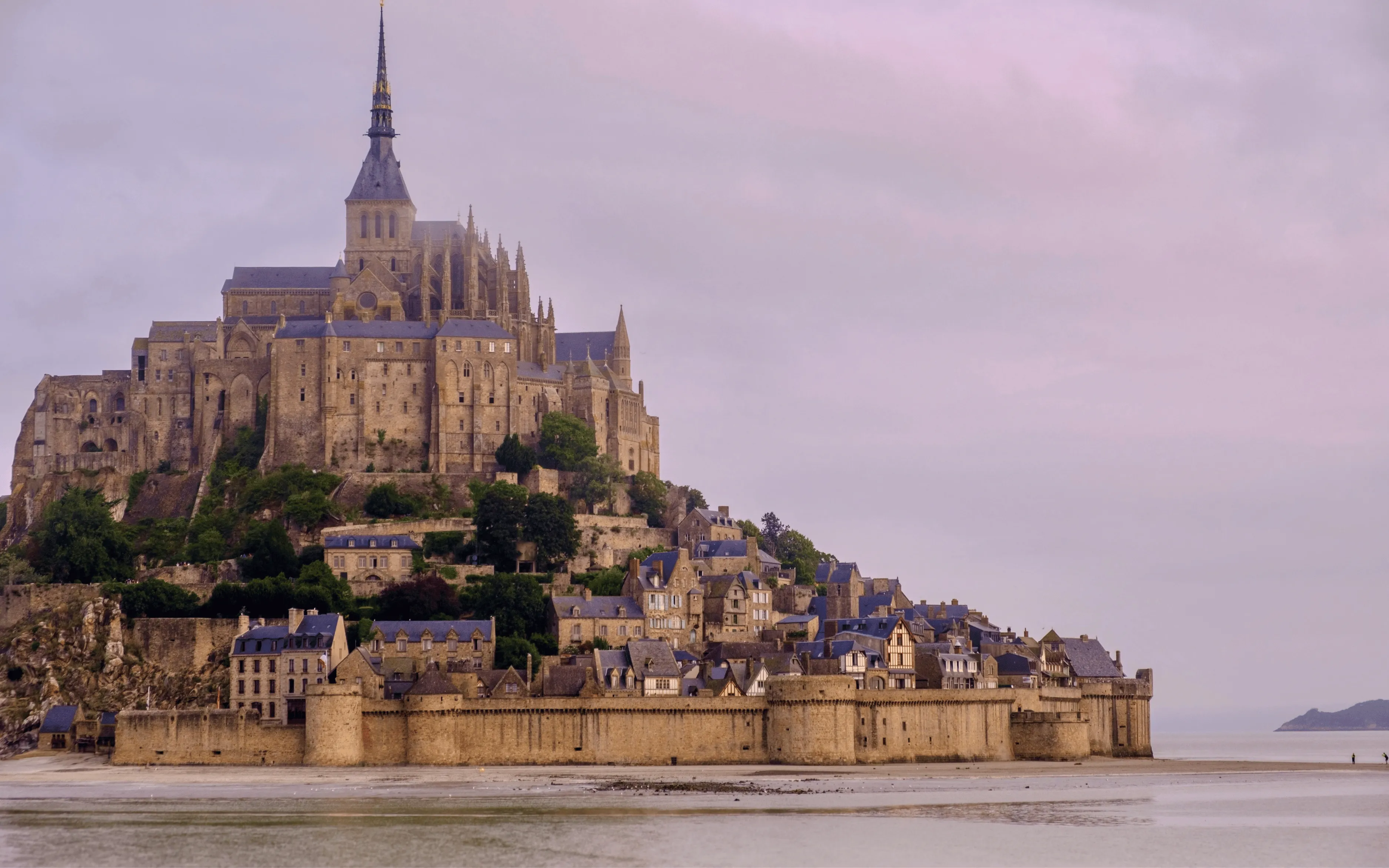 Best online French DELF classes in India — LingoThoughts
