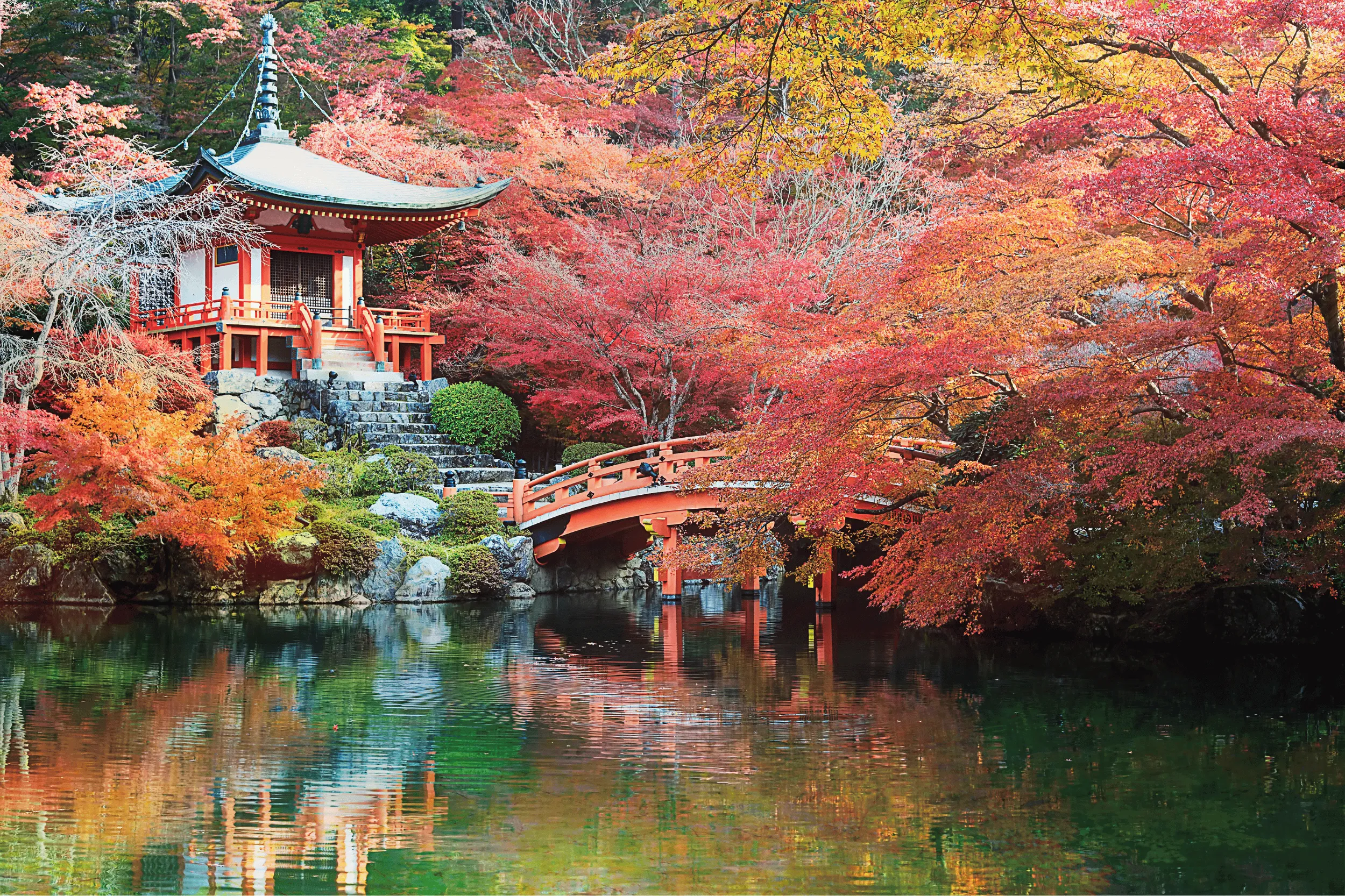 Master Japanese N3 - Intermediate - Authentic language training at LingoThoughts