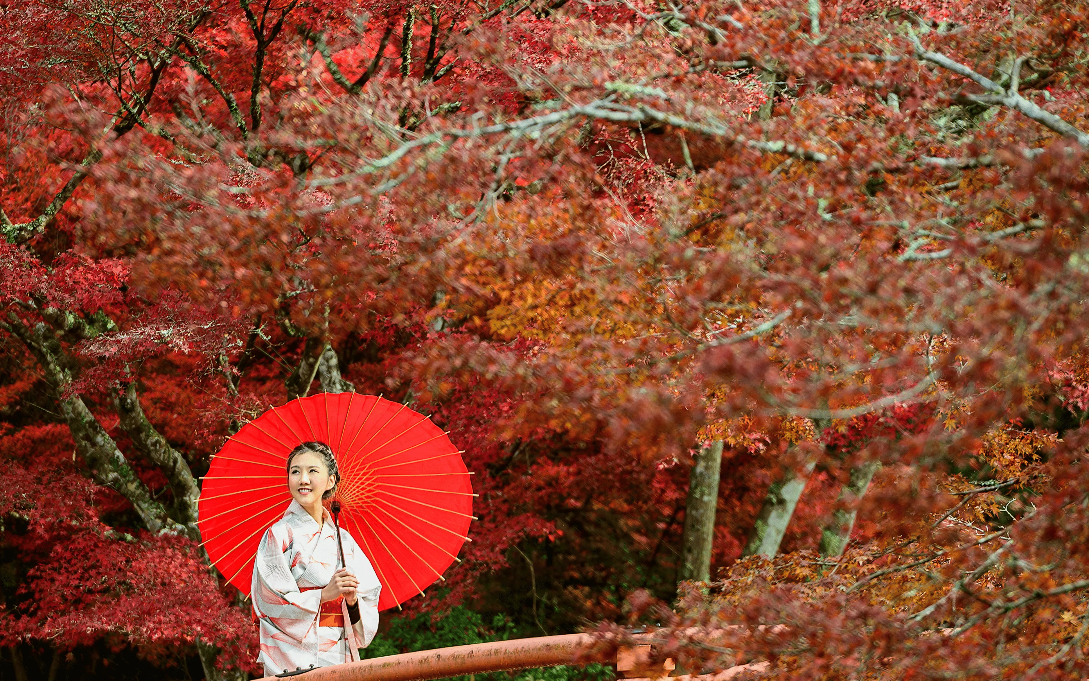 JLPT Japanese Coaching
